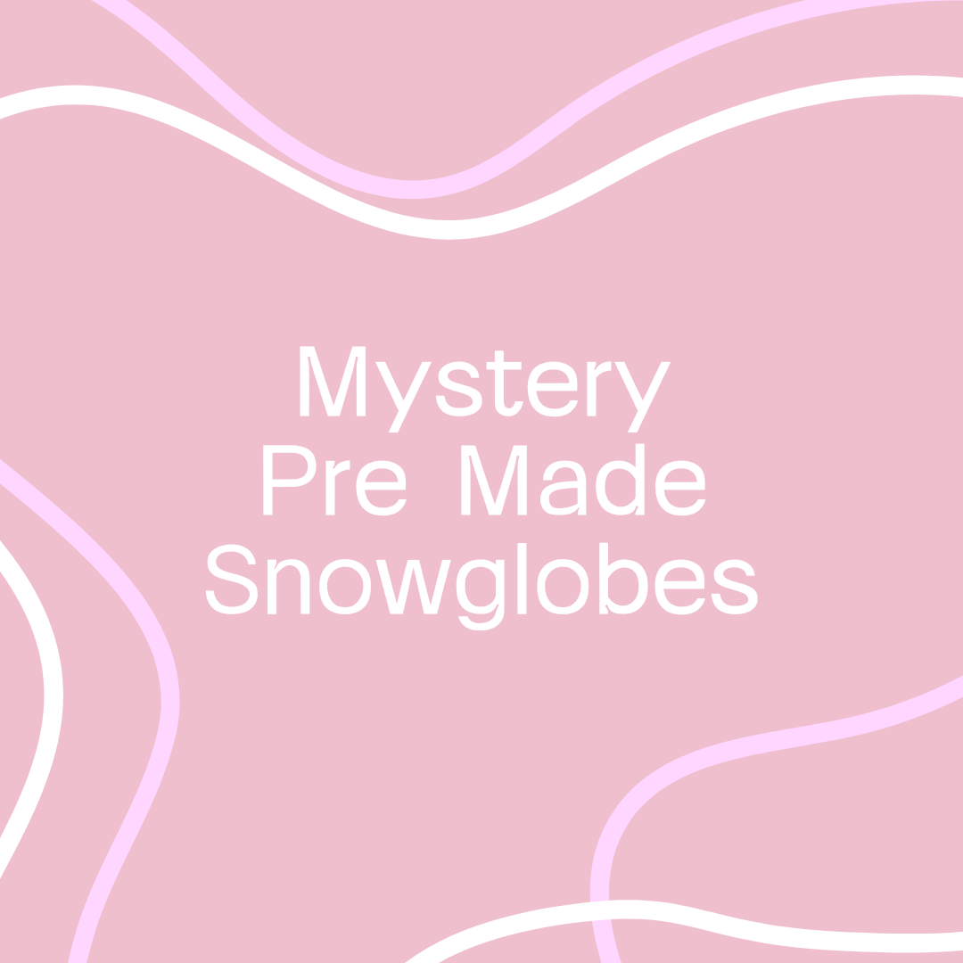 Mystery Pre Made Snowglobe